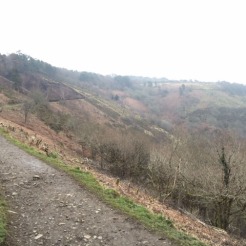 path along a hillside