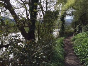 footpath by a river