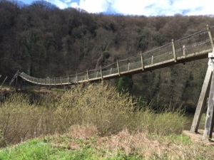 footbridge over river