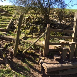 A stile with three steps