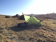 drying in the sun on Dartmoor